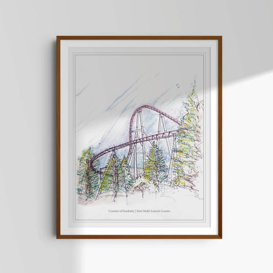 8x10 Ohio Launched Coaster Print · Twists & Hangtime